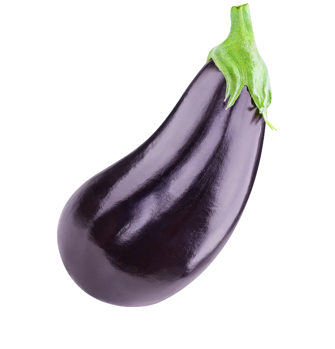 Aubergine-foto-2